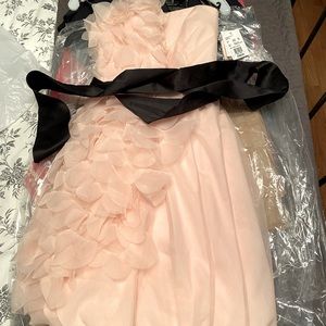 Vera Wang Light Pink Strapless Dress